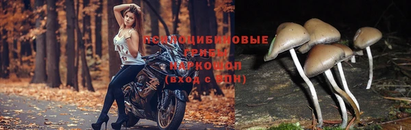 гидропоника Михайлов